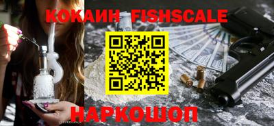 индика Гусь-Хрустальный