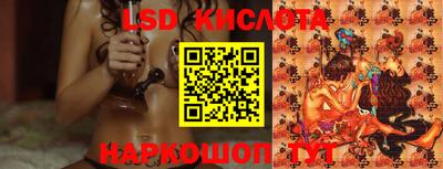индика Гусь-Хрустальный