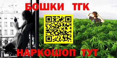 индика Гусь-Хрустальный