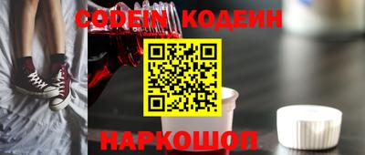 индика Гусь-Хрустальный